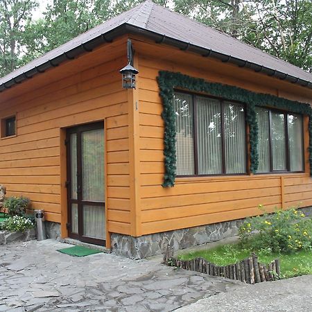 Dikii Med Hotel Geletintsy Ngoại thất bức ảnh